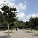 159 | 충북오토캠핑장 시설 좋은 괴산 승암159 캠핑장 후기
