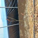 상서농장 이미지