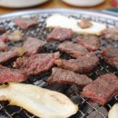 한우축산 이미지