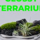 반려식물 테라리움 만들기 이미지