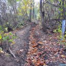 삼성산목장 이미지