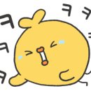 댄스왕 이미지