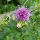 인출농장 이미지