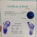 산골초가 이미지