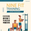 나인핏 피티 이미지
