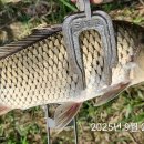 청도천10 이미지