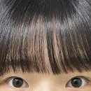 더한올(The한올) 이미지