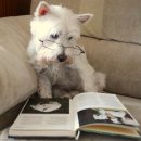 말랑말랑 이미지