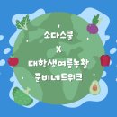 소다스쿨 주방용품 3종 리뷰 (feat. 대학생여름농활준비네트워크)