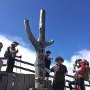 제주 관광 (성산일출봉-섭지코지-한라산) 2박3일 이미지