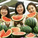 의령농협 하나로클럽 이미지