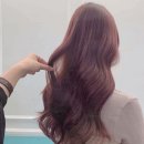 단발머리펌 후기! 제이스헤어 김해미용실