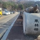 동림교 사거리 이미지