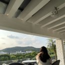 양월약국 | 3주차 블챌 🫶