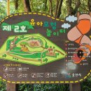 숲속어린이공원 내 이미지