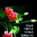 행복통신 이미지