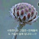 회장수