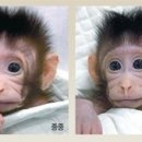 동아개발 이미지