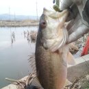 오늘교동 이미지