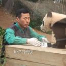 바오 - 부평구 장제로249번길 10-4 | 바오
