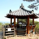 티스테이션 앞 교통섬1 | 서울 근교 당일치기 섬 여행: 소무의도 둘레길 "무의바다누리길" 완벽 가이드