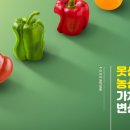 아인스미디어