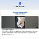 호텔멍 | [토토] 토토 첫 애견호텔 후기 - 멍스테이 일산점