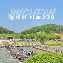 미르푸드 네이버블로그