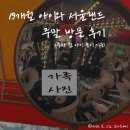(주)화석자동차 | 서울랜드 19개월 아기와 주말 이용 후기! 주차 팁+놀이기구 추천