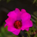 선도목장 이미지