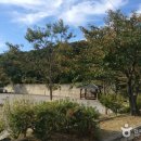 덕산목장 이미지
