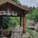 강릉 바베큐 민박 추천, 오대산 노닐다 B&amp;B 후기 및 가격 정보