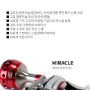 금양피싱 미라클 300R 300L 릴 125,000원 이미지