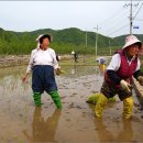 정자리경로당 이미지