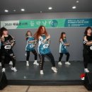 킴바댄스 이미지