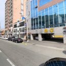 당리동-19 이미지