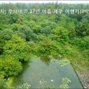 준이네 이미지