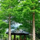 학생 전희 효자비 이미지