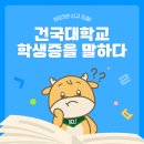 2주차- 카드 디자인 자료 조사 이미지