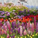 별빛정원B 이미지