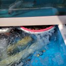 연포회식당 이미지