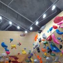 원정들1 이미지