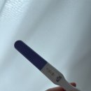 엠에스여성의원 | 청주 이란성 쌍둥이 임신 4주-9주의 기록, 쌍둥이라니?! 청주 엠에스여성의원 후기