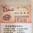 자유도매시장(동구) | [부산] 범일동 봄봄플라워 웨딩촬영 부케 자유도매시장 위치 주차 내돈내산 솔직후기