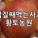 구평농장 이미지