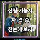 산림기능사 국가기술자격증 | 산림기능사 자격증 한눈에 보기: 실기·필기·취업까지 완벽 가이드