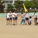 합포초등학교 이미지