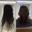 채인디자인