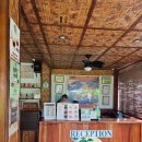 파파야레스토랑 | 필리핀 보홀 센트 오브 그린파파야 레스토랑 메뉴 및 조식 솔직후기