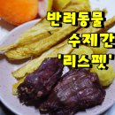 황금 펫 수제간식 이미지